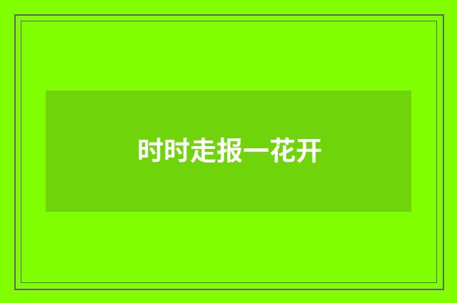 时时走报一花开