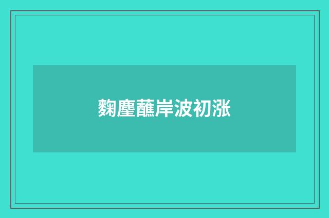 麴麈蘸岸波初涨