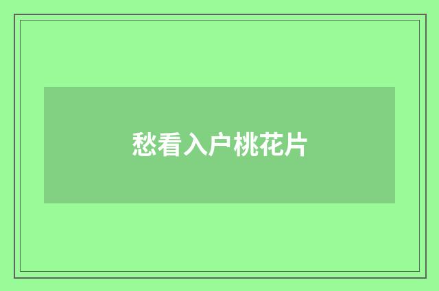 愁看入户桃花片
