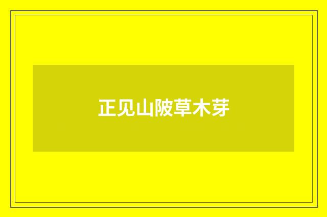 正见山陂草木芽