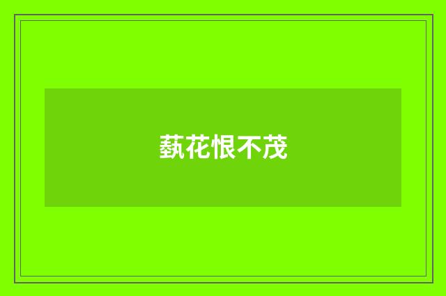 蓺花恨不茂