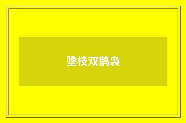 墬枝双鹊袅