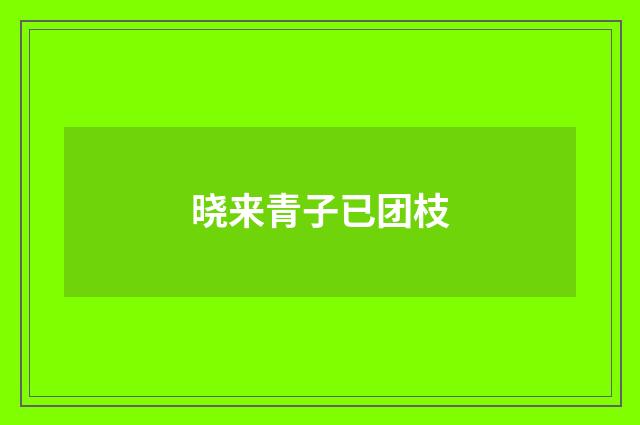 晓来青子已团枝
