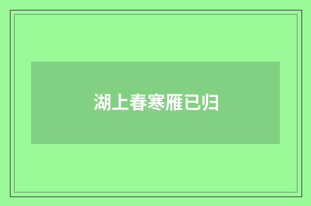 湖上春寒雁已归