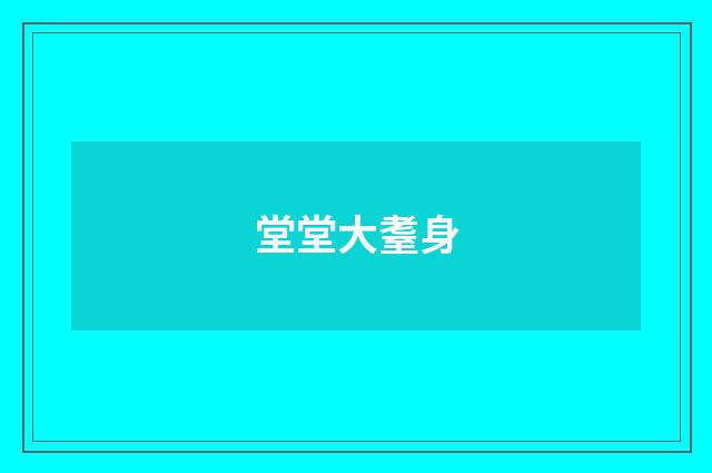 堂堂大耋身