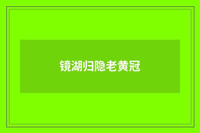 镜湖归隐老黄冠