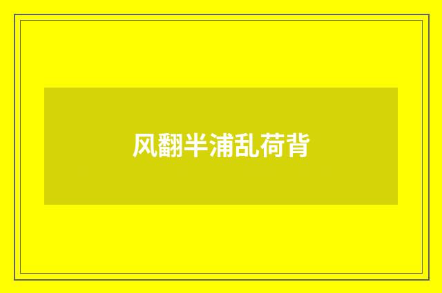风翻半浦乱荷背