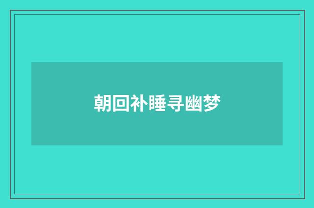朝回补睡寻幽梦