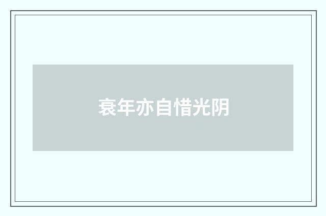 衰年亦自惜光阴