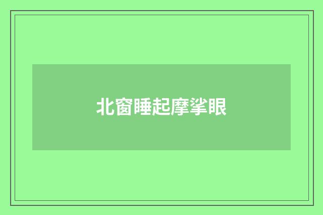 北窗睡起摩挲眼