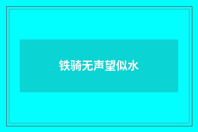 铁骑无声望似水