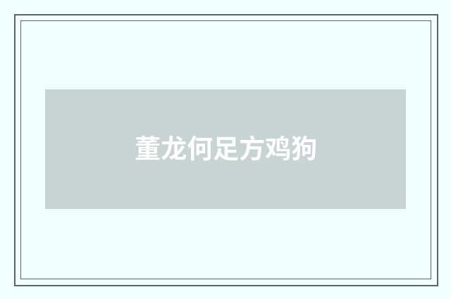 董龙何足方鸡狗