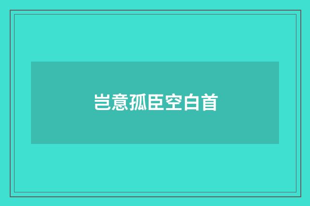岂意孤臣空白首