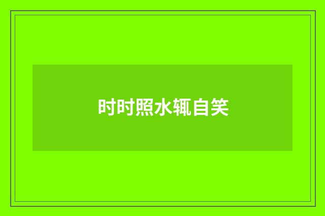 时时照水辄自笑