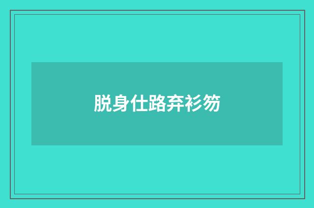 脱身仕路弃衫笏