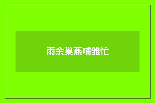 雨余巢燕哺雏忙