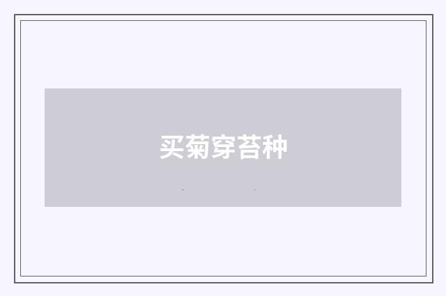 买菊穿苔种