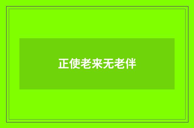 正使老来无老伴