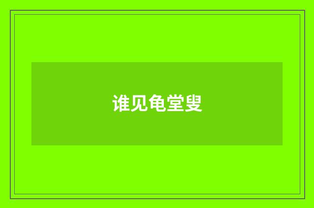 谁见龟堂叟