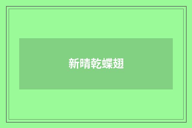 新晴乾蝶翅