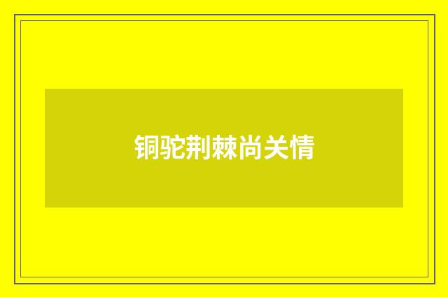 铜驼荆棘尚关情