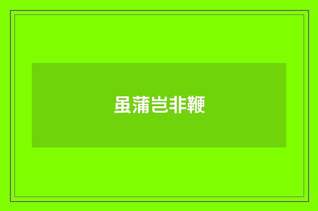 虽蒲岂非鞭