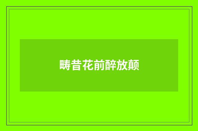 畴昔花前醉放颠