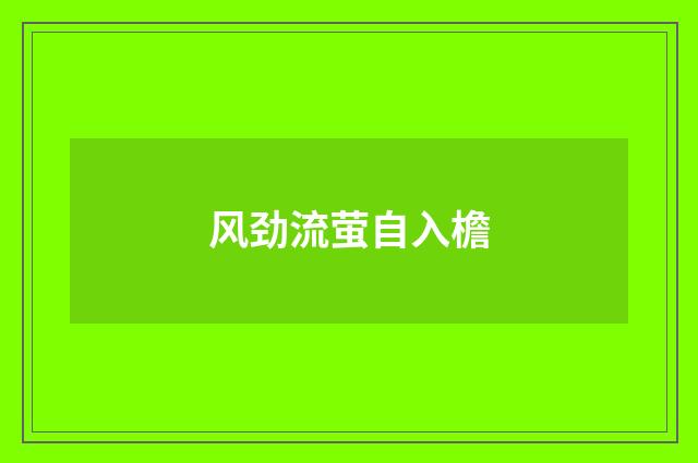 风劲流萤自入檐