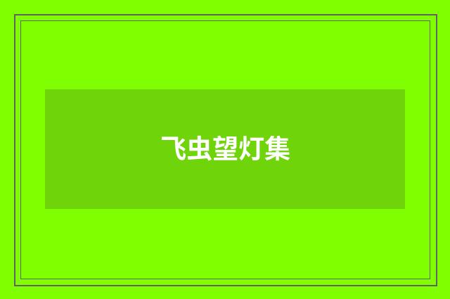 飞虫望灯集