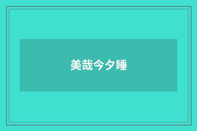 美哉今夕睡