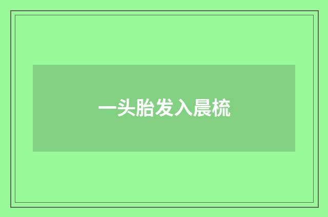 一头胎发入晨梳