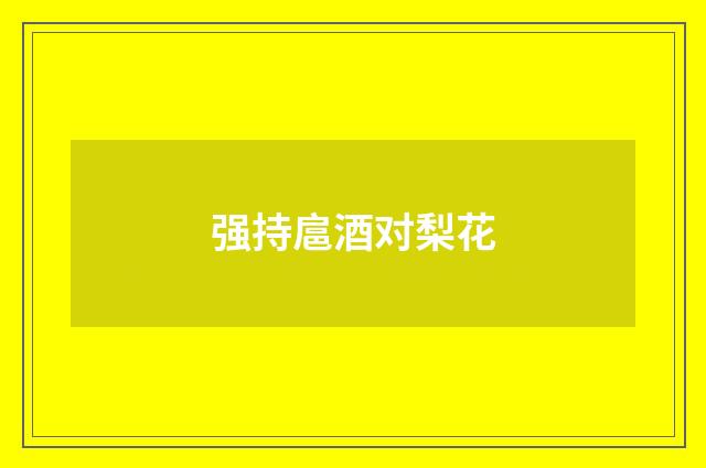 强持扈酒对梨花