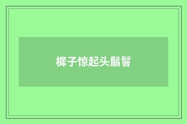 樨子惊起头鬅鬙