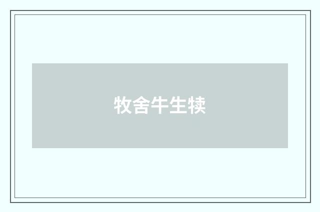 牧舍牛生犊