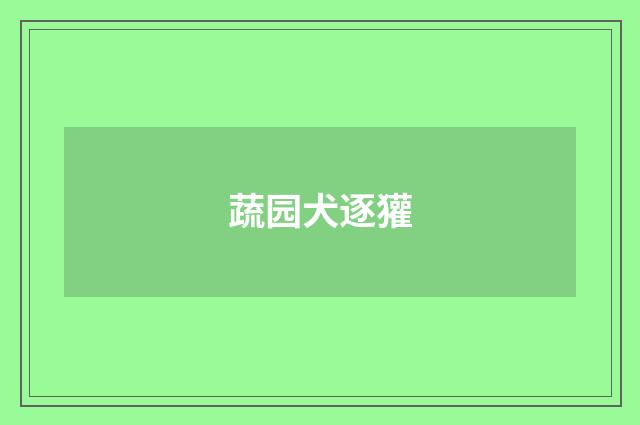 蔬园犬逐獾