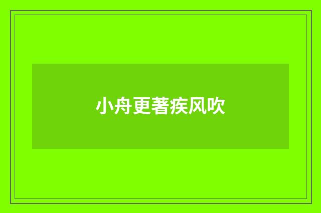 小舟更著疾风吹