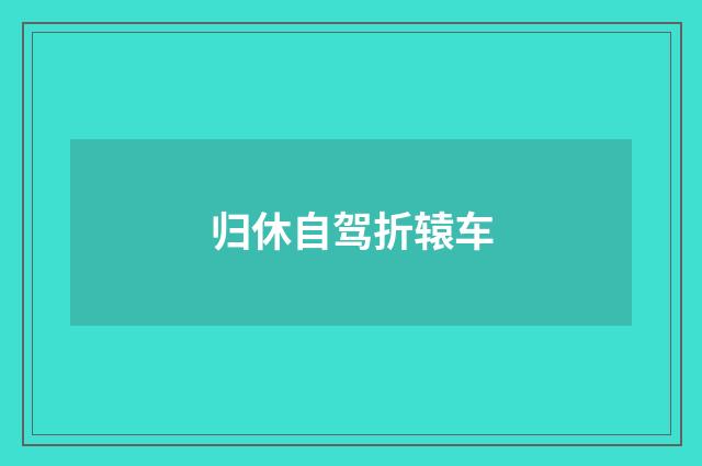 归休自驾折辕车