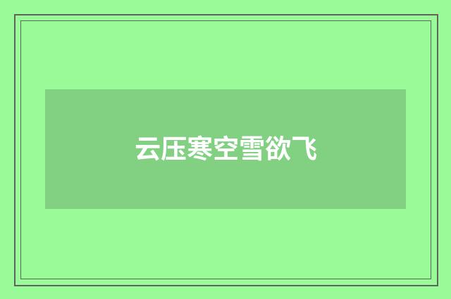 云压寒空雪欲飞