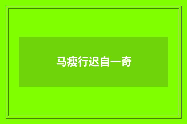 马瘦行迟自一奇