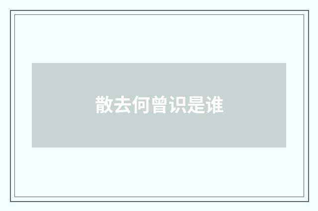散去何曾识是谁