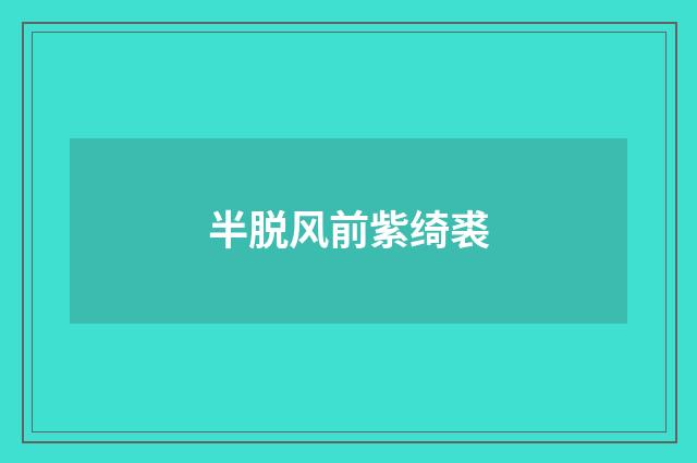 半脱风前紫绮裘