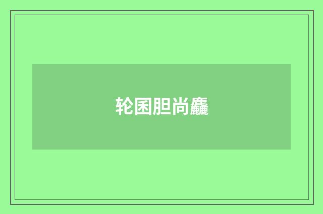 轮囷胆尚麤