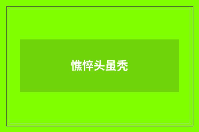 憔悴头虽秃