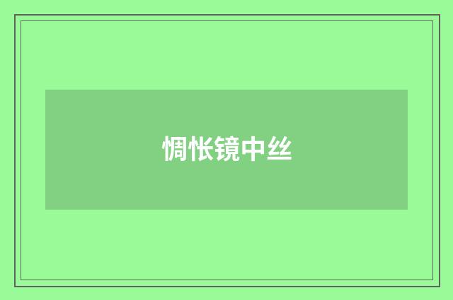 惆怅镜中丝