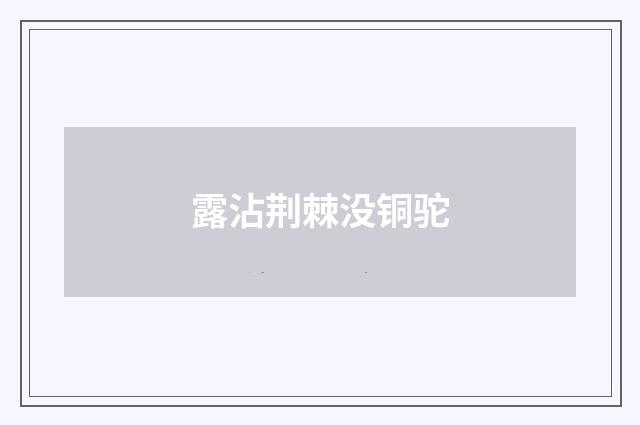 露沾荆棘没铜驼