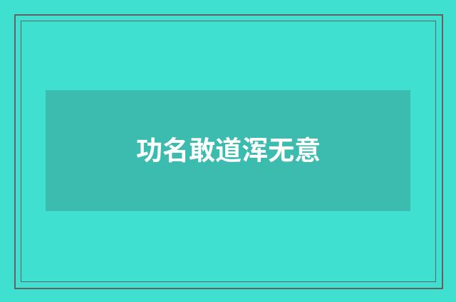 功名敢道浑无意