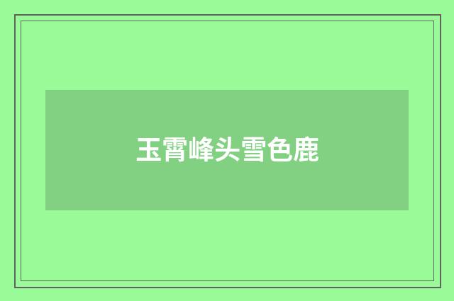 玉霄峰头雪色鹿