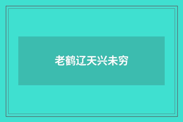 老鹤辽天兴未穷