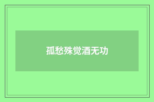 孤愁殊觉酒无功