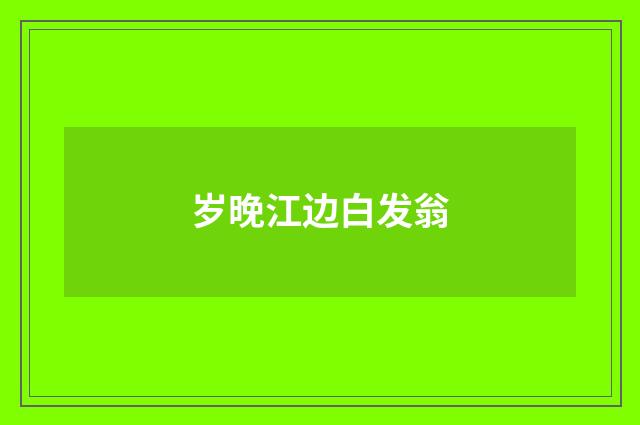 岁晚江边白发翁
